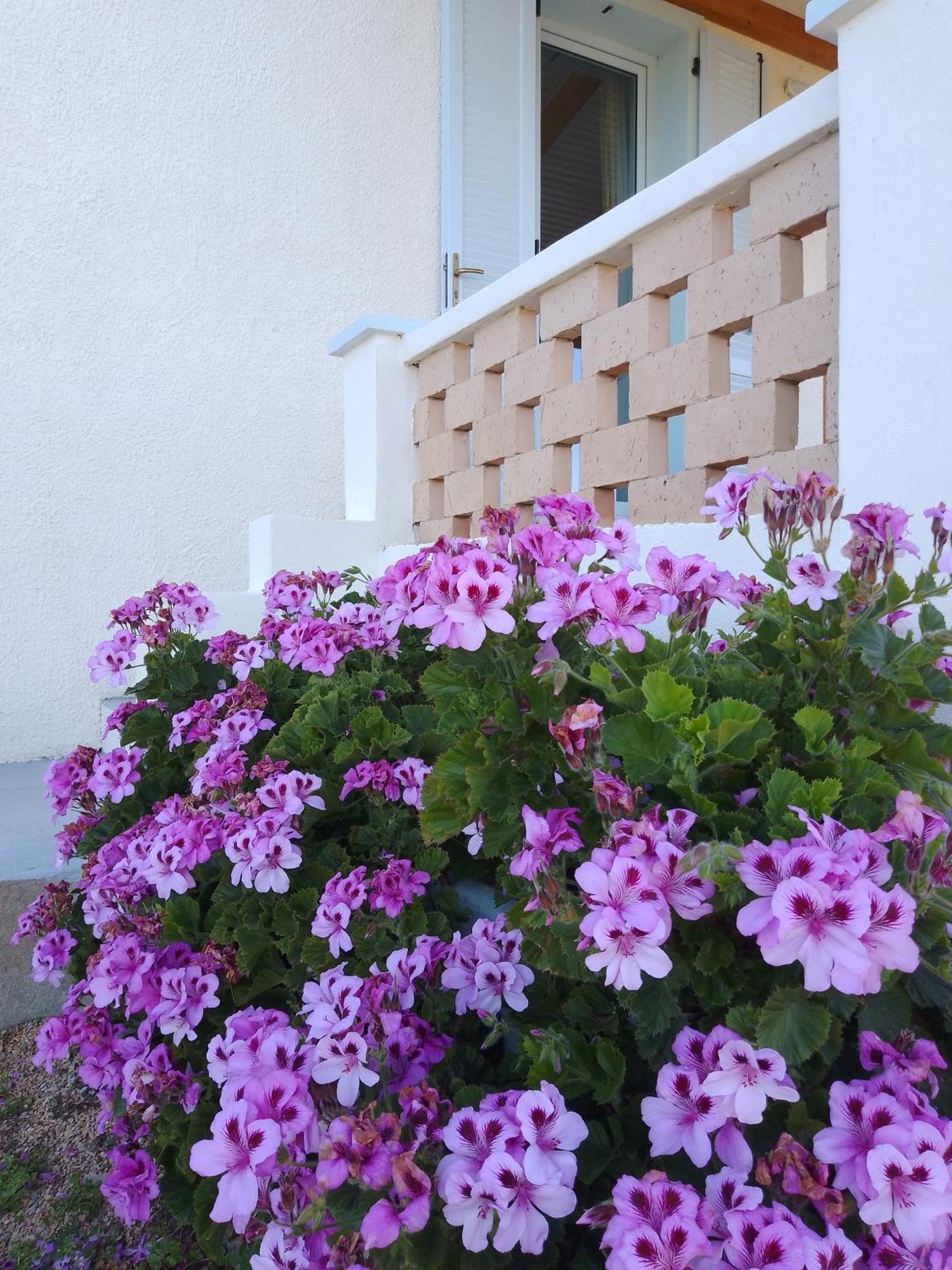 Lispusada B&B Biancareddu Exterior foto