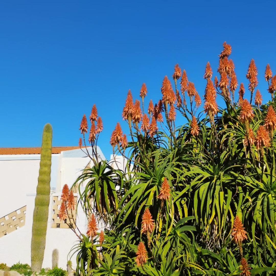 Lispusada B&B Biancareddu Exterior foto